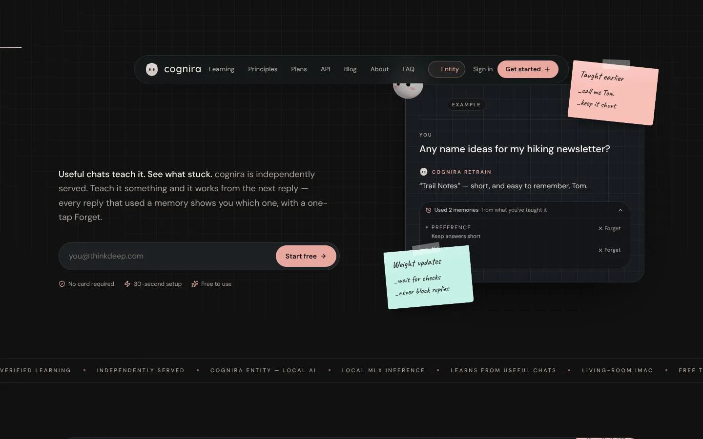 cognira screenshot