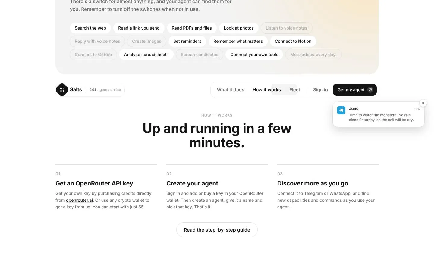 Salts screenshot