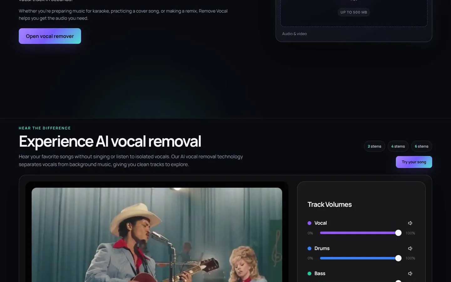 Remove Vocal screenshot