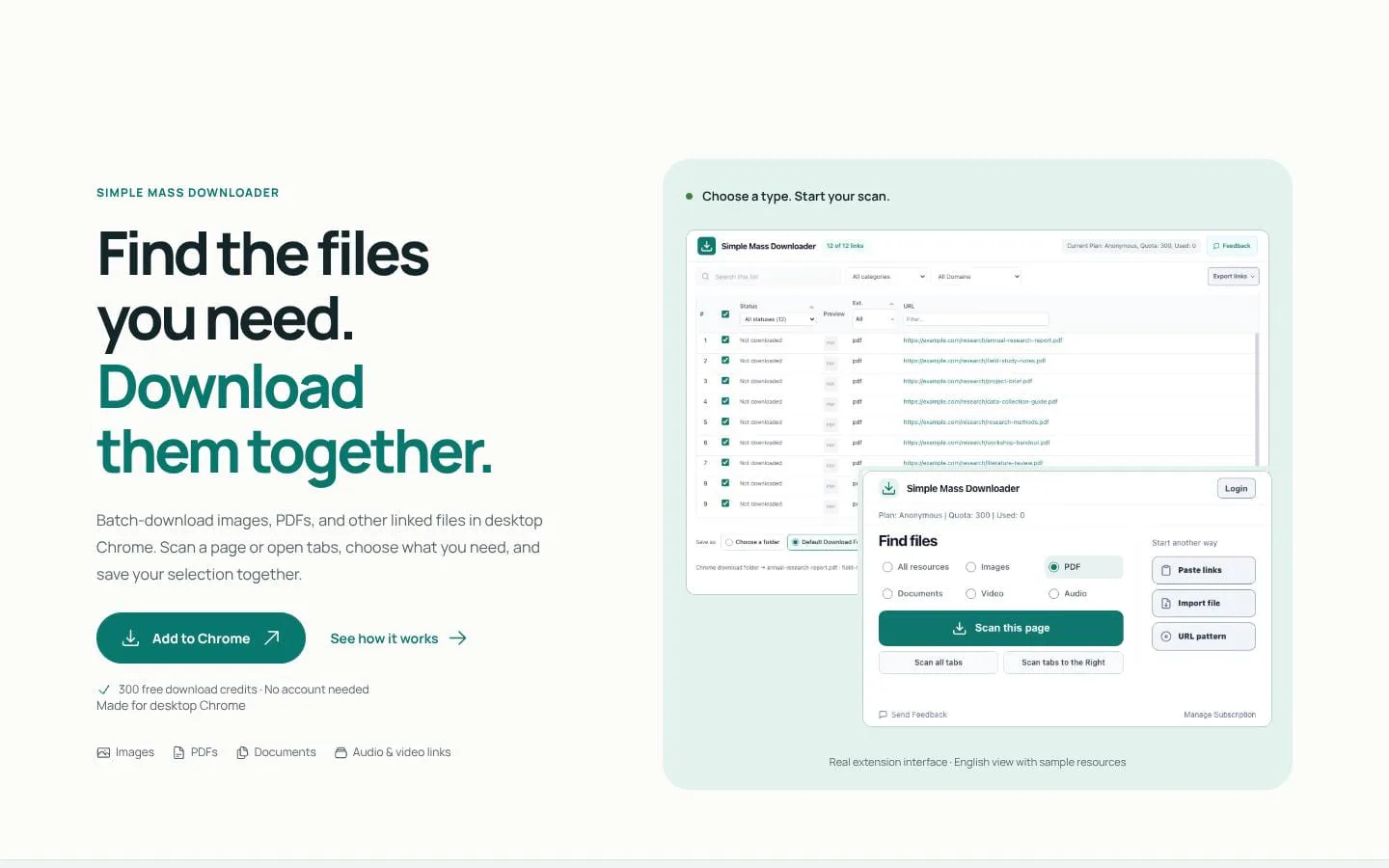 Simple Mass Downloader screenshot