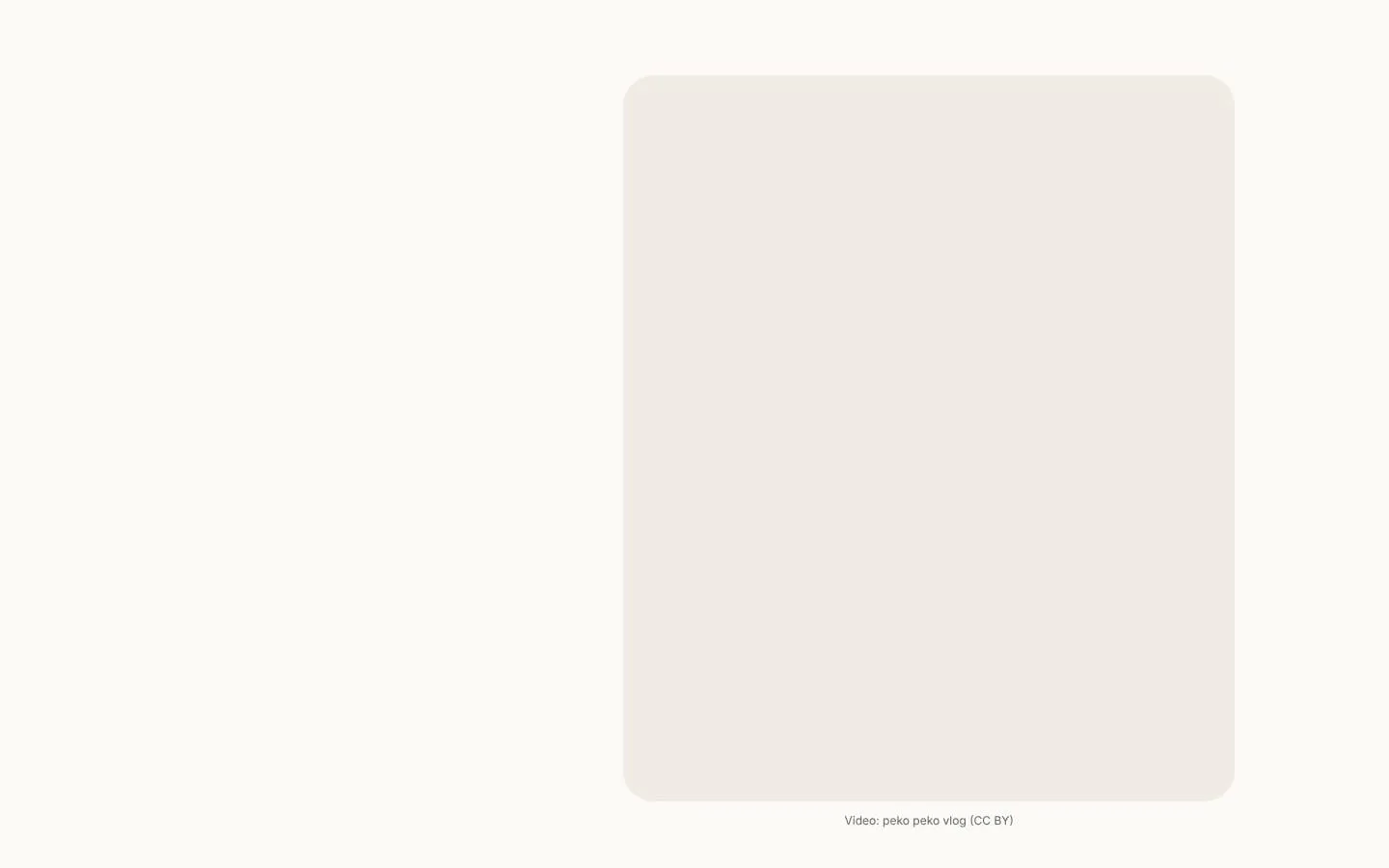 KemaFox screenshot