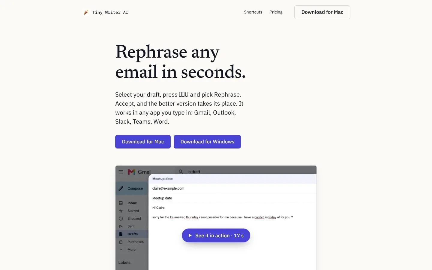 Tiny Writer AI screenshot